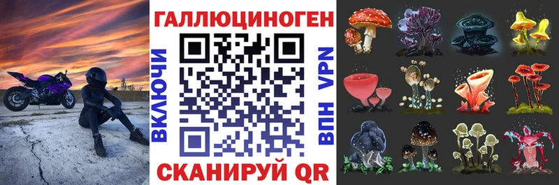 Псилоцибиновые грибы Psilocybine cubensis  Купить где  Коркино 